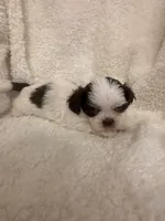 processed/84aae927-8616-430d-9f68-df79713aa4b3/listing/cb933540-495b-495b-a50f-0e3a577771a0/894dfc2e-87db-474b-ba90-6c62052ccaae