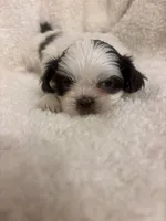 processed/84aae927-8616-430d-9f68-df79713aa4b3/listing/cb933540-495b-495b-a50f-0e3a577771a0/99443bb8-1732-4dc1-82b2-20c06e132ed9