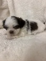 processed/84aae927-8616-430d-9f68-df79713aa4b3/listing/cb933540-495b-495b-a50f-0e3a577771a0/9d7c57f1-74e4-4e93-808a-146734d6afc7