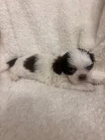 processed/84aae927-8616-430d-9f68-df79713aa4b3/listing/cb933540-495b-495b-a50f-0e3a577771a0/d796807c-5453-4c4c-8229-c1941baade62