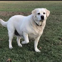 processed/84ae0741-46cd-4d19-a627-bd64541dab11/facility/75ce0978-8921-4091-a190-e07e161aee01