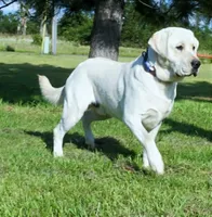 processed/84ae0741-46cd-4d19-a627-bd64541dab11/facility/79c346f9-2b07-4dbd-99b1-f9c303601a4c