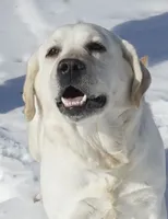 processed/84ae0741-46cd-4d19-a627-bd64541dab11/facility/a9c81eaf-7613-492e-86e2-59753ee80845