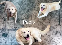 processed/84ae0741-46cd-4d19-a627-bd64541dab11/facility/f8981928-619b-4e6a-9492-fe7a0b8f5e5c