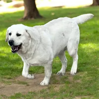 Ash, a male Labrador Retriever for sale in Grantsburg, WI – 10 of 10