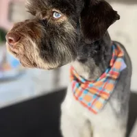 processed/84b30de2-ce71-4dab-bedb-badf78bb717a/facility/df108e13-7632-45c5-8787-1ea412330b44