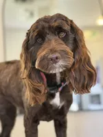 processed/84b30de2-ce71-4dab-bedb-badf78bb717a/listing/121cbe7d-0dc0-419b-b30e-96c5aea0f07f/b50738ed-760f-493f-b225-239cef6e7f3f