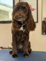 processed/84b30de2-ce71-4dab-bedb-badf78bb717a/listing/121cbe7d-0dc0-419b-b30e-96c5aea0f07f/c7f3002d-df94-40a0-9665-b8511cbe9524