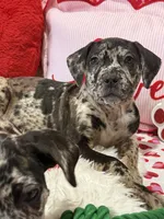 processed/84b30de2-ce71-4dab-bedb-badf78bb717a/listing/f304a2c8-d841-4dca-9a31-b73443dfcccc/133638c7-d413-45e1-8a3c-09162c8f34c0