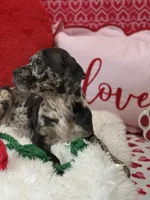 processed/84b30de2-ce71-4dab-bedb-badf78bb717a/listing/f304a2c8-d841-4dca-9a31-b73443dfcccc/5f6e9e40-b572-4c28-994f-4f77ddfc3723