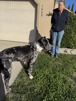 processed/84b30de2-ce71-4dab-bedb-badf78bb717a/listing/f304a2c8-d841-4dca-9a31-b73443dfcccc/b4b2cc31-9f2b-4ff3-b32d-579c68c6e677