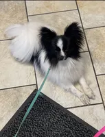 processed/84bea853-133b-4452-8f8a-0b5f5470a4c8/listing/fe9e24ec-c2b3-41c9-bcec-101abbac06cb/4db4b4ee-9dee-457a-8fb3-f4c9d786d86e