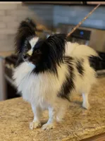 processed/84bea853-133b-4452-8f8a-0b5f5470a4c8/listing/fe9e24ec-c2b3-41c9-bcec-101abbac06cb/54b1d131-b377-459f-bdac-609a51eadae9