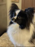 processed/84bea853-133b-4452-8f8a-0b5f5470a4c8/listing/fe9e24ec-c2b3-41c9-bcec-101abbac06cb/6c6695cc-2c2b-4886-83a9-7be584f9af03