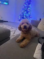 processed/84c834c0-9da2-41d1-80cb-e4df544e6836/listing/850c69b1-4970-4ded-b263-7ba0d216b080/ab38075c-01f7-47b8-8ed2-6b7717f7fdde