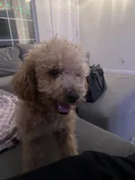 processed/84c834c0-9da2-41d1-80cb-e4df544e6836/listing/850c69b1-4970-4ded-b263-7ba0d216b080/d0c99428-6c76-4c05-a822-70452801464c