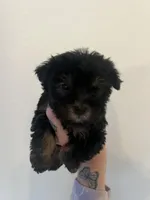 processed/84c834c0-9da2-41d1-80cb-e4df544e6836/listing/aa9e5de7-88d2-4678-88f9-1c61933257fa/05c50785-1e27-4949-9b9d-9f541b3d830e