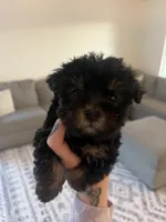 processed/84c834c0-9da2-41d1-80cb-e4df544e6836/listing/aa9e5de7-88d2-4678-88f9-1c61933257fa/c34a363c-32e5-4f2c-bea8-2d71e7e43c7c