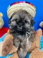 processed/84caae7f-987d-4f94-b24b-e9c07baf2f1c/listing/013458ff-60f2-45b1-9e16-58b80950ab01/10e598f1-8759-4a40-a452-1d2e8f478337