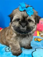 processed/84caae7f-987d-4f94-b24b-e9c07baf2f1c/listing/013458ff-60f2-45b1-9e16-58b80950ab01/23a1e37b-647b-4eb1-b9bc-417b4eac5df6