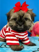 processed/84caae7f-987d-4f94-b24b-e9c07baf2f1c/listing/013458ff-60f2-45b1-9e16-58b80950ab01/731a4291-ad2c-4635-ab29-0106d90867ea