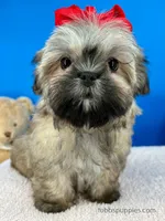 processed/84caae7f-987d-4f94-b24b-e9c07baf2f1c/listing/03e77b18-a5d5-4505-afd1-18ab7fd72e0e/22b34c5c-929e-4186-88f6-9a20f1602b35