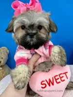 processed/84caae7f-987d-4f94-b24b-e9c07baf2f1c/listing/03e77b18-a5d5-4505-afd1-18ab7fd72e0e/4db34b3f-368c-4f9c-8e85-648a038786d9