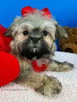 processed/84caae7f-987d-4f94-b24b-e9c07baf2f1c/listing/03e77b18-a5d5-4505-afd1-18ab7fd72e0e/70957be9-5fa0-456f-a518-0a86c00cb8eb