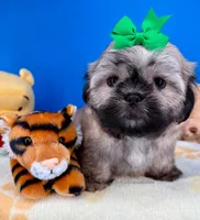 processed/84caae7f-987d-4f94-b24b-e9c07baf2f1c/listing/42c4cecb-9b07-4fc8-909c-f4df06ef8c36/683ffff4-f209-45ca-ac54-ac6d227c2dc8