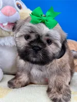 processed/84caae7f-987d-4f94-b24b-e9c07baf2f1c/listing/42c4cecb-9b07-4fc8-909c-f4df06ef8c36/96f000fe-7ddc-4b7c-97a7-d8a3d6730a13