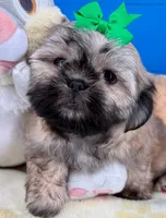 processed/84caae7f-987d-4f94-b24b-e9c07baf2f1c/listing/42c4cecb-9b07-4fc8-909c-f4df06ef8c36/d7a44049-74b2-47ec-a69b-c21b65388f87