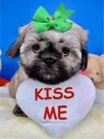 processed/84caae7f-987d-4f94-b24b-e9c07baf2f1c/listing/42c4cecb-9b07-4fc8-909c-f4df06ef8c36/e66044ee-0bac-4e24-b022-cd0790fc63cc