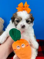 processed/84caae7f-987d-4f94-b24b-e9c07baf2f1c/listing/5a6b8178-466c-4ebd-9016-2e81b9290311/4196a909-057a-40bc-b48f-642314fb75ce