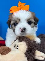 processed/84caae7f-987d-4f94-b24b-e9c07baf2f1c/listing/5a6b8178-466c-4ebd-9016-2e81b9290311/8643fa6e-b21d-47db-a1e2-b3ad34ed8944