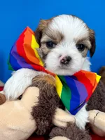 processed/84caae7f-987d-4f94-b24b-e9c07baf2f1c/listing/5a6b8178-466c-4ebd-9016-2e81b9290311/d7a12589-bf14-437c-8d22-33867cb2dce4