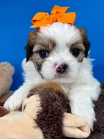 processed/84caae7f-987d-4f94-b24b-e9c07baf2f1c/listing/5a6b8178-466c-4ebd-9016-2e81b9290311/de47d151-ab5c-42d0-a90d-d11ce8c8e48d