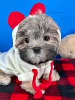 processed/84caae7f-987d-4f94-b24b-e9c07baf2f1c/listing/97e43022-8617-4c01-951e-ce376c3025e2/0444ed10-a856-4edb-a1ea-059f48fcc68f