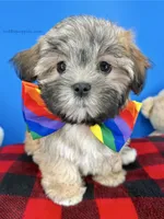 processed/84caae7f-987d-4f94-b24b-e9c07baf2f1c/listing/97e43022-8617-4c01-951e-ce376c3025e2/551ae432-a42c-43ab-8010-7eb87cdeeaf9