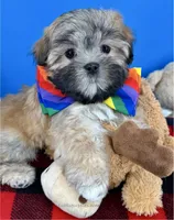 processed/84caae7f-987d-4f94-b24b-e9c07baf2f1c/listing/97e43022-8617-4c01-951e-ce376c3025e2/65ac2a9b-19b4-4e81-84a6-03fbb7fd3f5b