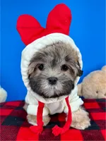 processed/84caae7f-987d-4f94-b24b-e9c07baf2f1c/listing/97e43022-8617-4c01-951e-ce376c3025e2/9ee821d6-37ea-4b36-a0a8-5967f9f70c45