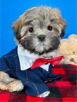 processed/84caae7f-987d-4f94-b24b-e9c07baf2f1c/listing/97e43022-8617-4c01-951e-ce376c3025e2/e9eb76ef-a192-4870-bbcb-d376061bdcf5