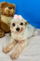 processed/84caae7f-987d-4f94-b24b-e9c07baf2f1c/listing/b1520da8-ee34-40a5-b1c6-0e1f3783e934/18329b2f-be91-405f-ac65-927ff81ab7dc