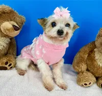 processed/84caae7f-987d-4f94-b24b-e9c07baf2f1c/listing/b1520da8-ee34-40a5-b1c6-0e1f3783e934/58c9504d-ef57-4a78-9ea5-67ccbe91c440