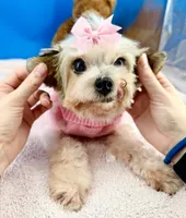 processed/84caae7f-987d-4f94-b24b-e9c07baf2f1c/listing/b1520da8-ee34-40a5-b1c6-0e1f3783e934/9dec1f5e-69d8-4160-95b2-7352cbd79025