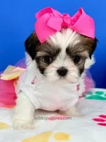 processed/84caae7f-987d-4f94-b24b-e9c07baf2f1c/listing/b625ca30-67dc-42df-93ae-647cb177e79b/2425b3ff-462b-4fa1-adca-e932dbf691f4