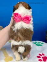 processed/84caae7f-987d-4f94-b24b-e9c07baf2f1c/listing/b625ca30-67dc-42df-93ae-647cb177e79b/376bf970-3a1e-45b6-a7c4-547ef98882fb