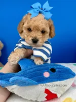 processed/84caae7f-987d-4f94-b24b-e9c07baf2f1c/listing/b625ca30-67dc-42df-93ae-647cb177e79b/58a0b518-f6c3-496f-aabd-a0e4ea6c0033