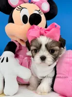 processed/84caae7f-987d-4f94-b24b-e9c07baf2f1c/listing/b625ca30-67dc-42df-93ae-647cb177e79b/592f14db-45ac-4e2e-95a6-16e8591c8474