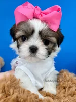 processed/84caae7f-987d-4f94-b24b-e9c07baf2f1c/listing/b625ca30-67dc-42df-93ae-647cb177e79b/91333611-54ae-44e7-bf55-d19f41e17ddc