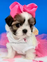 processed/84caae7f-987d-4f94-b24b-e9c07baf2f1c/listing/b625ca30-67dc-42df-93ae-647cb177e79b/a47d6aaa-bb20-4d1d-8f7c-7cad5f229293